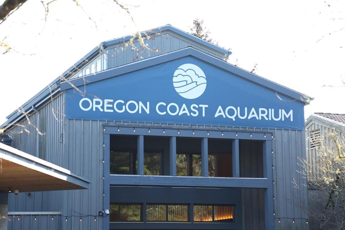 Little Creek Cove Beach Resort Newport Bagian luar foto